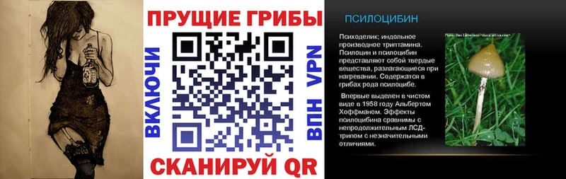 Галлюциногенные грибы Magic Shrooms  купить наркотики сайты  Энгельс 
